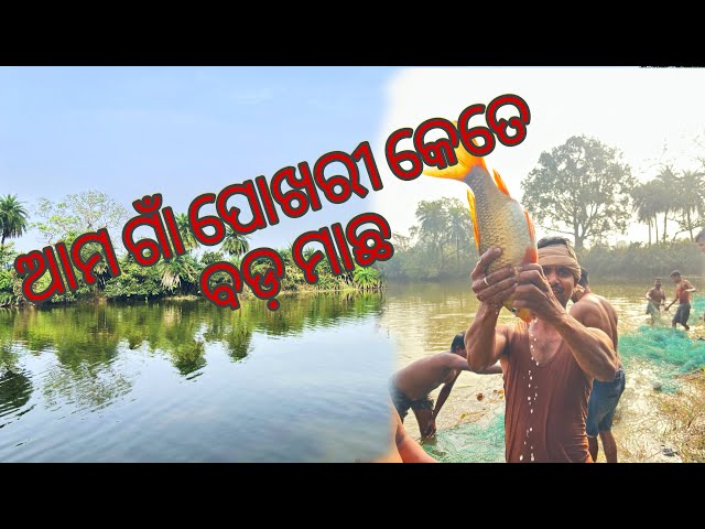 ￼amo gan Pokhari ra bada macho #nature trendingshorts #viralvideo #youtube short #enjoy #youtuber