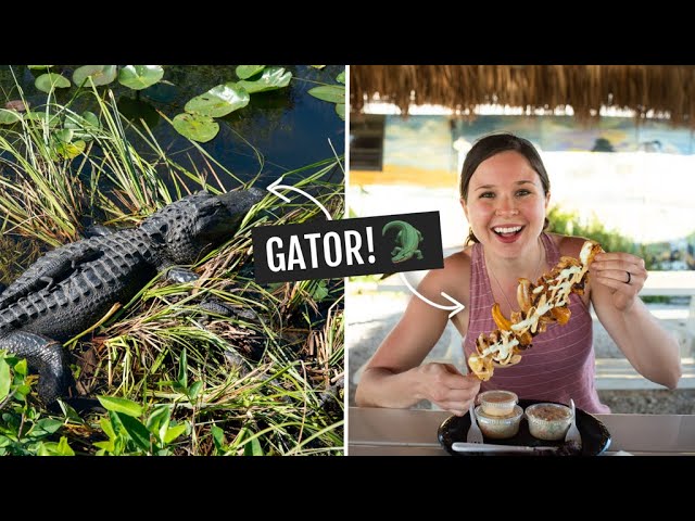 The BEST day at Everglades National Park! 🐊 (Hiking, biking, milkshakes, & MORE)