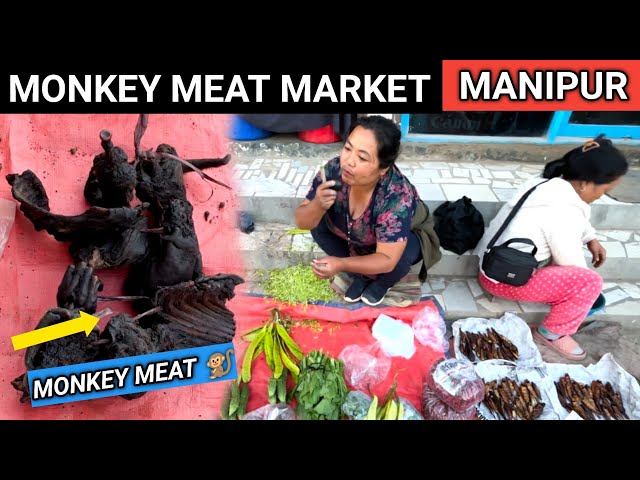 Manipur: Monkey Meat Market will blow your Mind 🐒 | Churachandpur