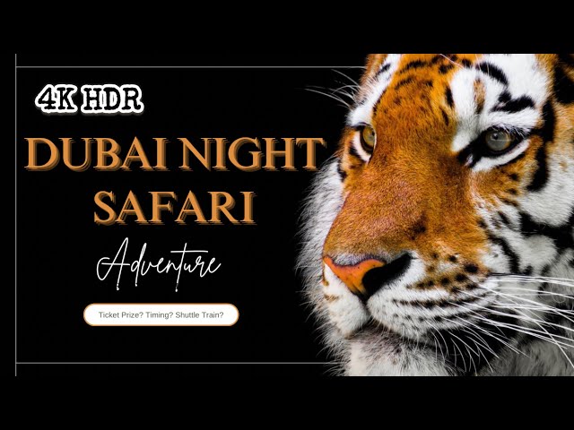 Dubai Night Safari: The Ultimate Guide // Unforgettable Family Adventure // Explore Wildlife