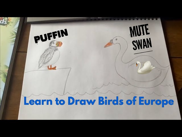 Lesson 5: Birds of Europe/ Read Aloud & Drawing Lesson 🦢