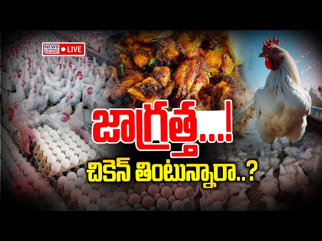 🔴LIVE : Bird flu tension in telangana | journalist Prabhakar | News Line Telugu