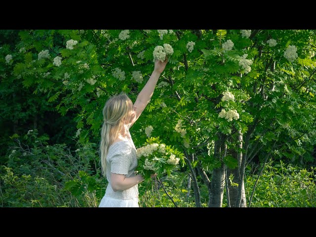 Midsummer Traditions in Finland