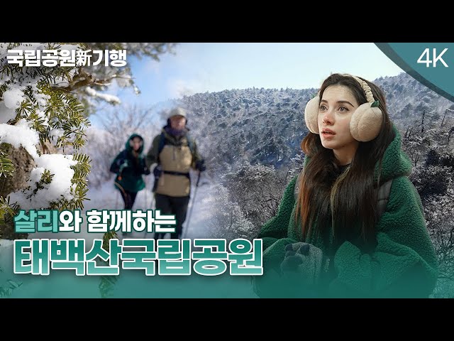 국립공원 新기행 ｜태백산국립공원 [상편]