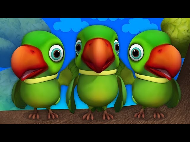 Main tota Hindi Rhyme For Children Hindi Rhymes For Kids @kidschannelindia