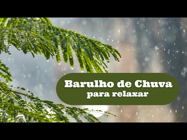 🌧️ **Som de Chuva para Relaxar, Dormir Melhor e Esquecer do Mundo por um Momento** 🌧