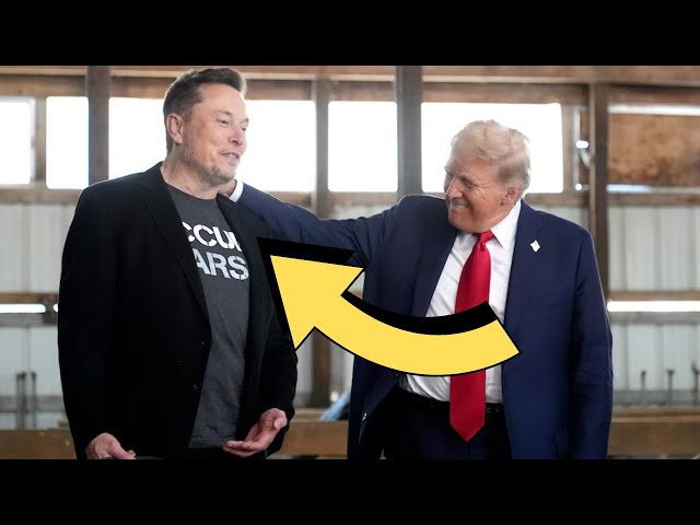 Musk Dark MAGA PURGE create sci-fi dystopia