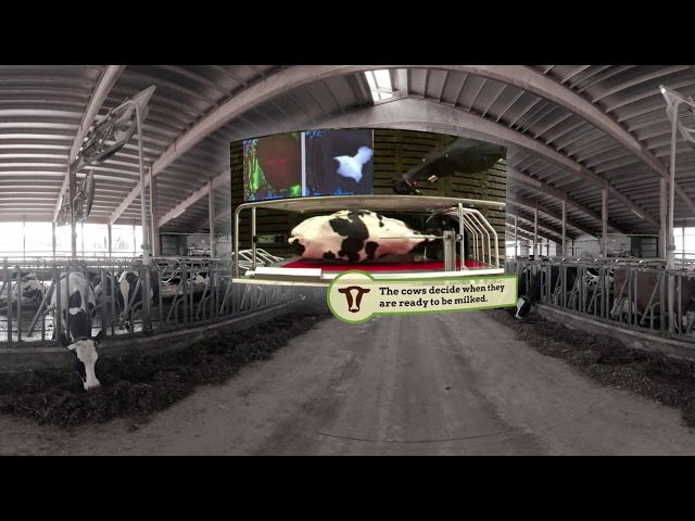 Robotic Milkers in 360