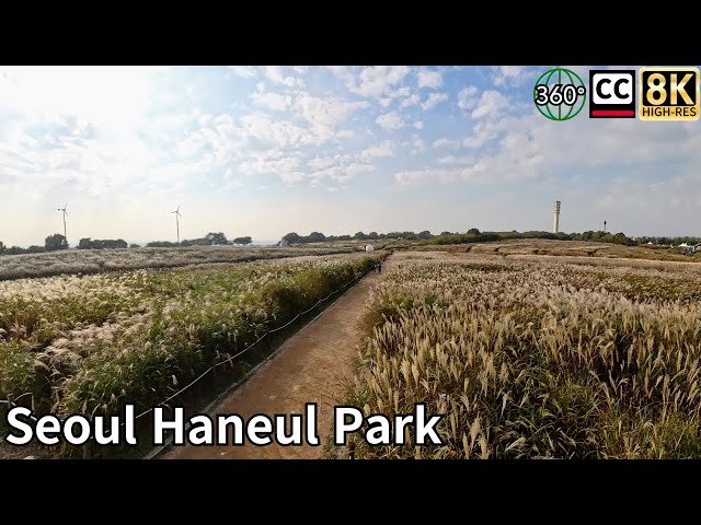 Autumn walk in Seoul, Sangam-dong Haneul Park. 8K 360 video and subtitles