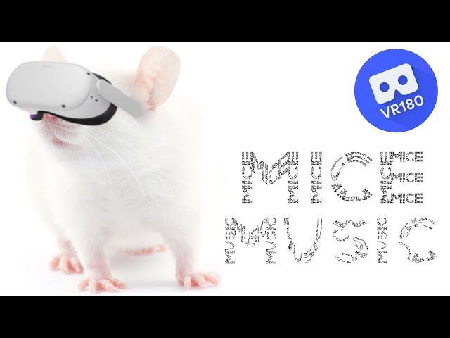 Gustavo Díaz-Jerez -- Mice Music (from Metaludios, Book IV).  In Virtual Reality!