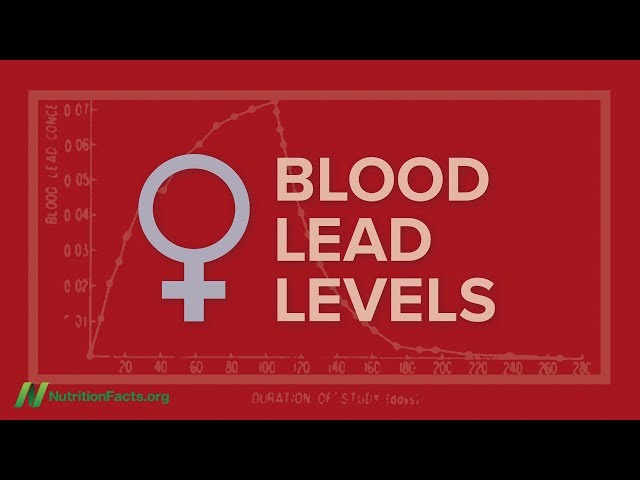 The Rise in Blood Lead Levels at Pregnancy and Menopause