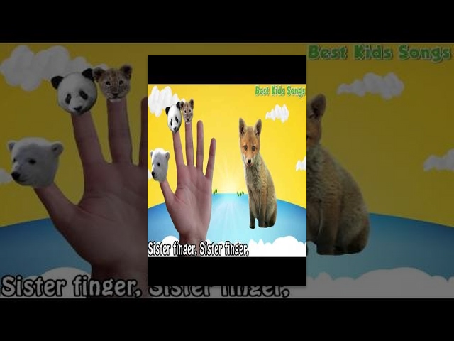 Baby Animals - Finger Family Song Collection - Nursery Rhymes Baby Animals Finger Family for Kids