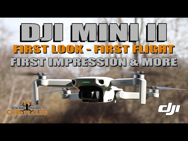 DJI Mini 2 First Look First Flight First Impression & More