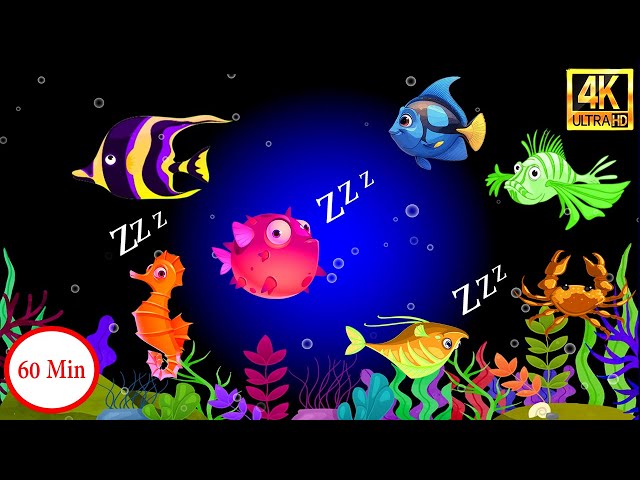 Peaceful Freshwater Aquarium Fish 🐠 Relaxing Tropical Fish Aquarium 🐠 Soothing Fish Sleep Music