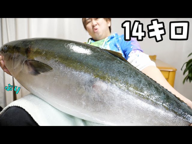 Here is a tutorial of how to clean a yellowtail perfectly!