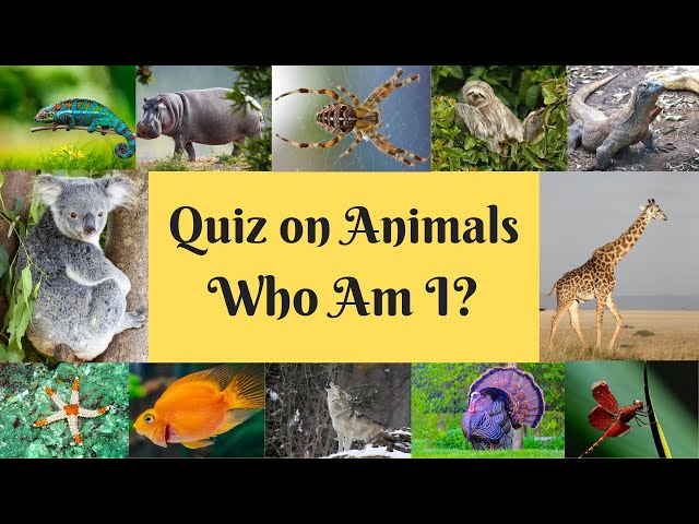 Quiz on Animals/50 quizzes on Animals with interesting facts/Learn Through Quiz