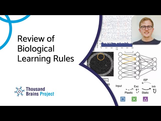 2024/07 - Review of Biological Learning Rules