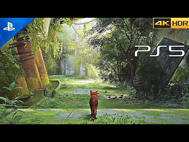 (PS5) ¿IS STRAY THE BEST INDIE GAME OF ALL TIME? | Ultra High Graphics Gameplay [4K HDR 60 FPS]