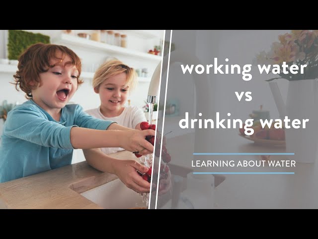 Drinking Water vs  Working Water