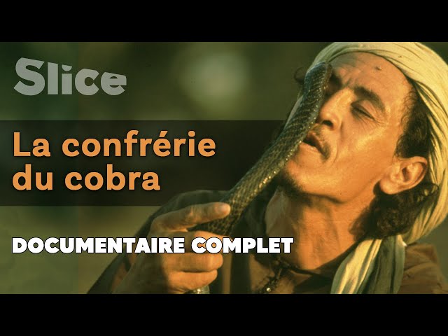 La confrérie du cobra | SLICE | Documentaire complet