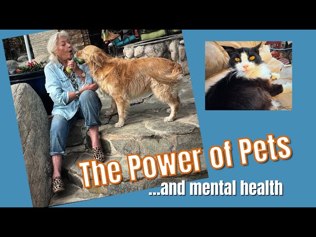 Our Pets and Their Healing Powers in Improving Our Mental and Physical Well-Being /Over 60