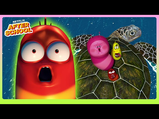 Larva Family's Island Adventure 🏝️ Larva Family | Netflix After School