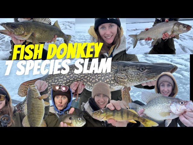 7 Species SLAM FISHING TOURNAMENT run by FishDonkey App