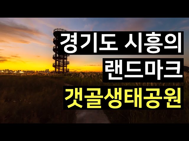 VR속에 미녀 아나운서가 똭!!! 시흥 갯골생태공원 VR랜선여행