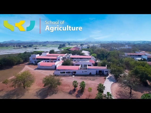 School of Agriculture: Where Tradition Meets Innovation | SR University |