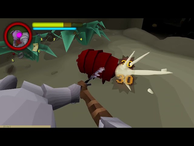 First person bug runescape darksouls? (FlyKnight)