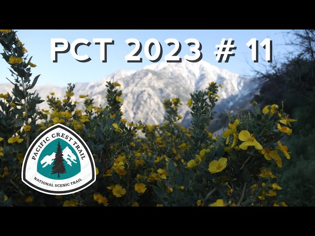 PCT 2023 Thru-Hike Vlog Ep 11: Highest to Lowest