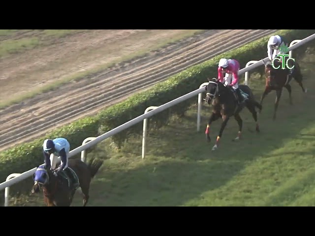 RAMIEL wins The Queen Elizabeth II Memorial Cup (Gr.3)