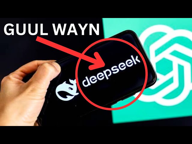 DEEPSEEK WAA İSBEDELKİİ UGU WAYNAA EE DUNİDA AI