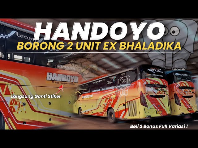 YANG LAGI HEBOH❗️HANDOYO BORONG 2 UNIT EX BHALADIKA🔥BELI 2 BONUS FULL VARIASI PULA !