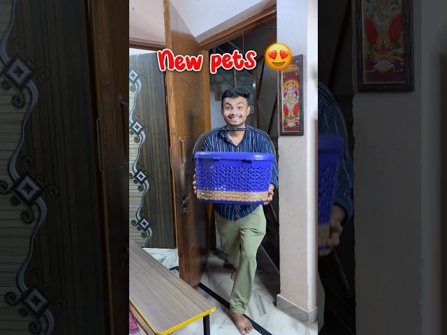 New pets 😍 ke liye cage setup #shorts