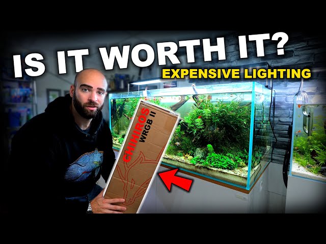 My MOST EXPENSIVE Aquarium Light: Chihiros WRGB II Review