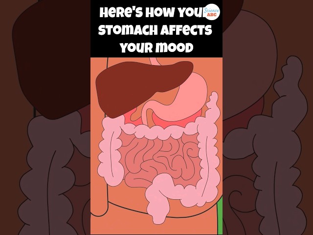 The Gut-Brain Axis: How Microbes in Your Gut Affect Your Mood and Emotions