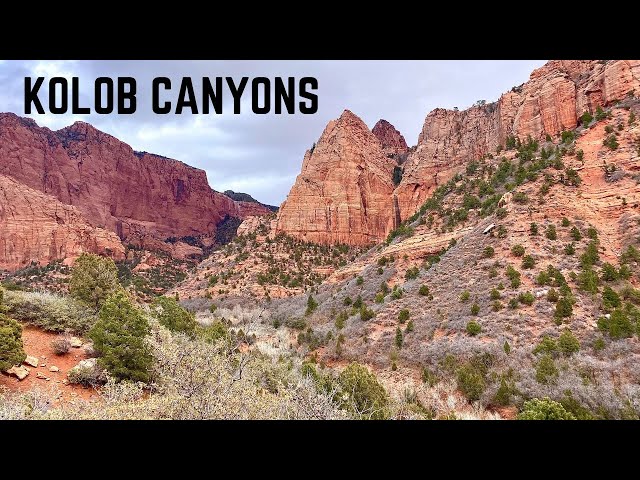 Kolob Canyons: The Secret Part of Zion