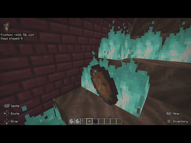 Setting Fire to everything in the Nether