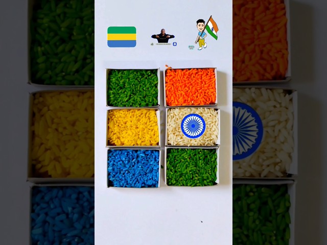 Flag with rice| republic day| #video #short #trending #jhanda #video #yt