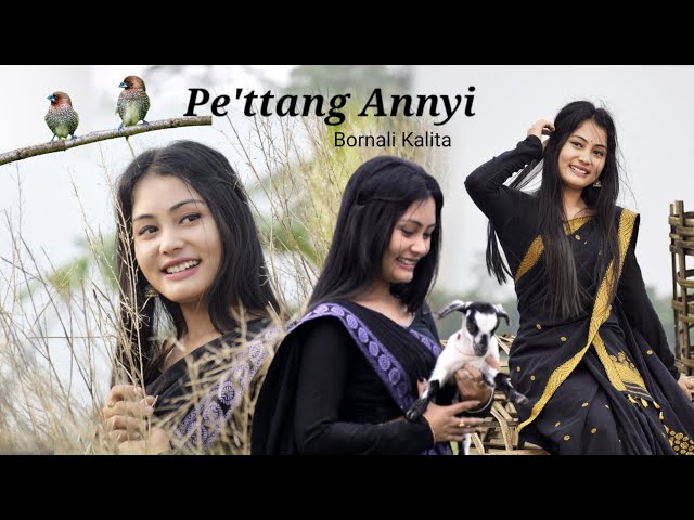 Pe'ttang Annyi || Bornali Kalita || Sewali Taid || Mising song || Dance Cover videos 2022