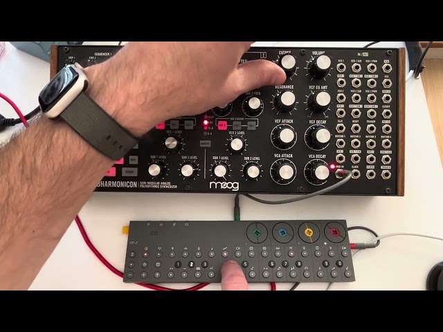 OP-Z + Moog Subharmonicon meditation