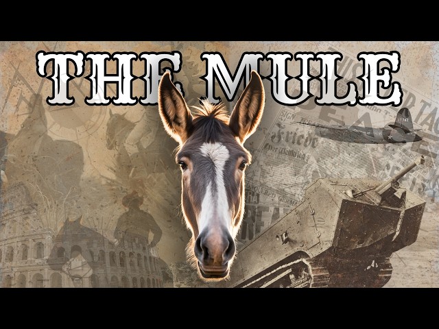 What Is A Mule? [Their Surprising History and Origins]