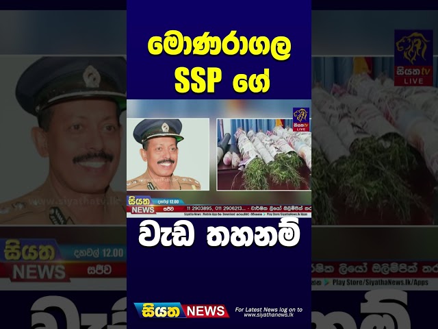 මොණරාගල SSP ගේ වැඩ තහනම් | Siyatha News