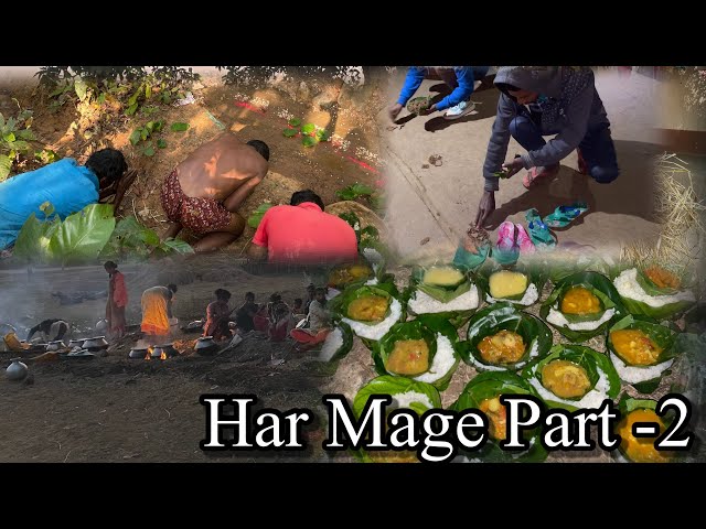 Ho Munda tribe culture  || Munda tribe har mage part -2 || village tribal life