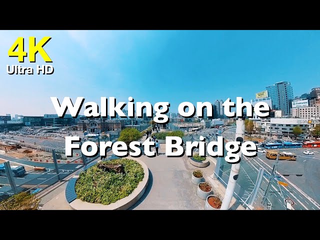 [4k] Walking on the Seoul Forest Bridge | 서울로 7017 고가도로 공원 산책