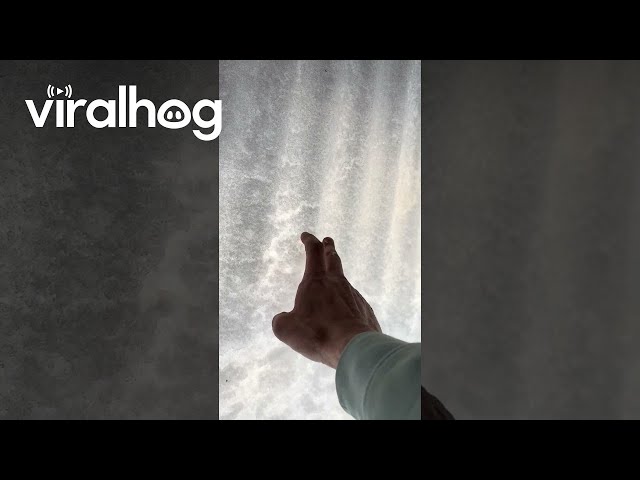 Satisfying Snow Shield || ViralHog