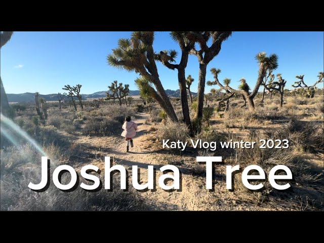 Katy「Travel Vlog」| Joshua Tree national park | winter 2023