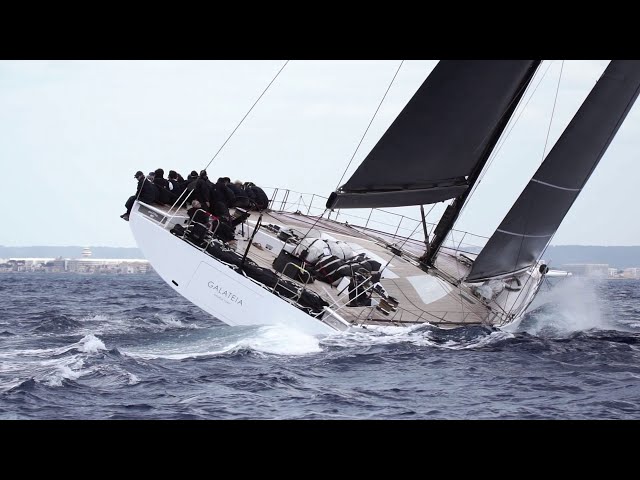 wally class - PalmaVela racing