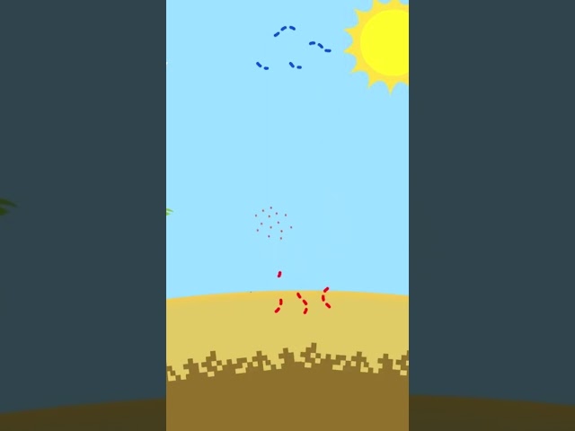 Heat Transfer: Convection #Shorts #educational #physics